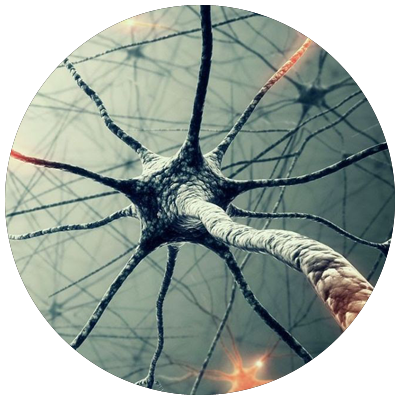 elebi Tutorial: Neural Networks and Pattern Recognition Using Matlab